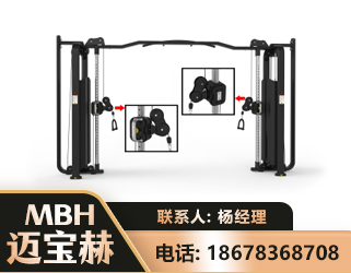 石家庄大飞鸟训练器
