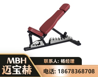 石家庄可调哑铃椅