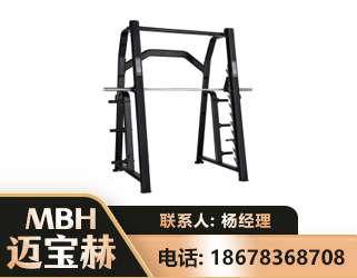 石家庄史密斯机